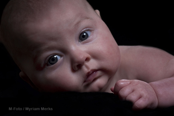 Foto 9 - 1565 - oke.jpg