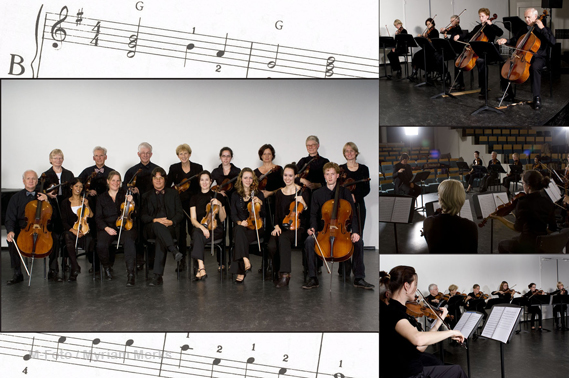 Collage strijkorkest.jpg