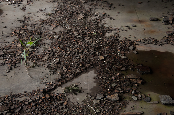 M-Foto, Urbanfotografie, Urbanworkshop