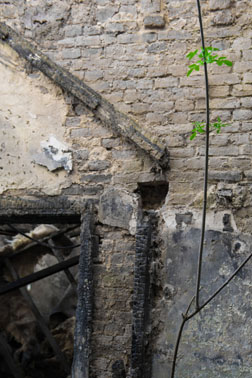 DSC_9597 - lengte alleen groen - zw-w.jpg