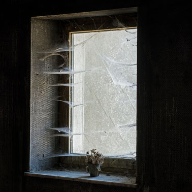 DSC_9627 - 2 - vierkant - 1 - kopie.jpg