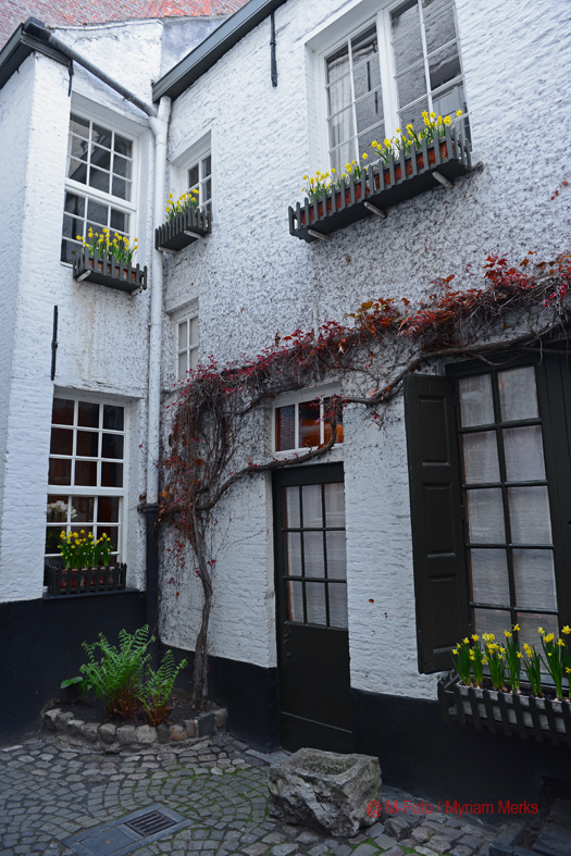 Foto 5795 Kleur Verhoogd