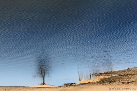 Foto 5377 2 10X15 Cm Met Logo Website