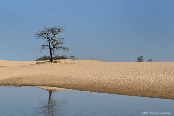 Foto 5378 10X15 Cm Met Logo Website