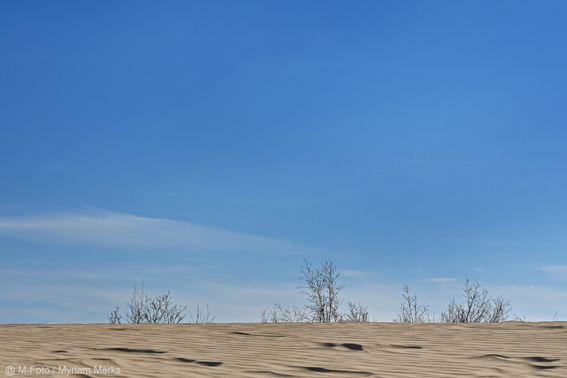 Foto 5494 10X15 Cm Met Logo Website