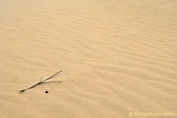 Mfoto 1673 10X15 Cm Met Logo Website