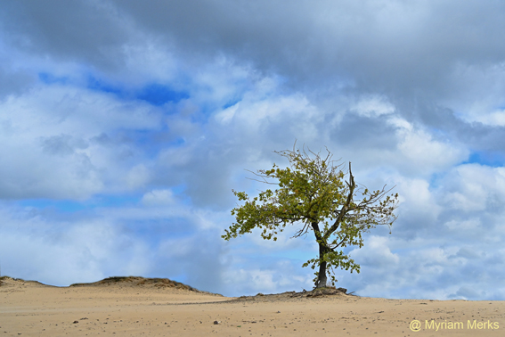 Mfoto 1742 1 10X15 Cm Met Logo Website