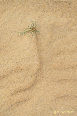 Mfoto 1750 1 10X15 Cm Met Logo Website