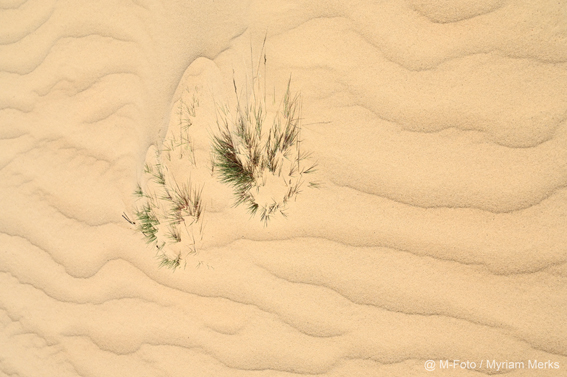 Mfoto 1757 10X15 Cm Met Logo Website