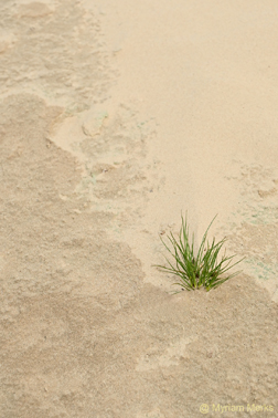 Mfoto 1761 10X15 Cm Met Logo Website